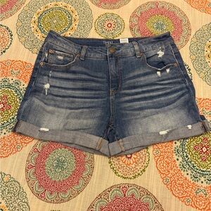 CUTE Time and Tru Denim Blue Shorts w/ distressing